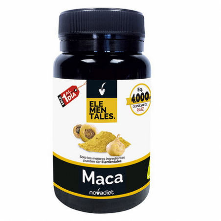 MACA