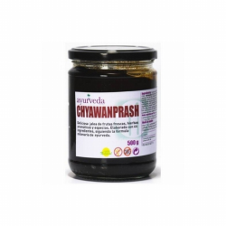 CHYAWANPRASH 500GR(JALEA FRUTA
