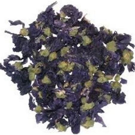 MALVA FLOR PLANTA SORIA