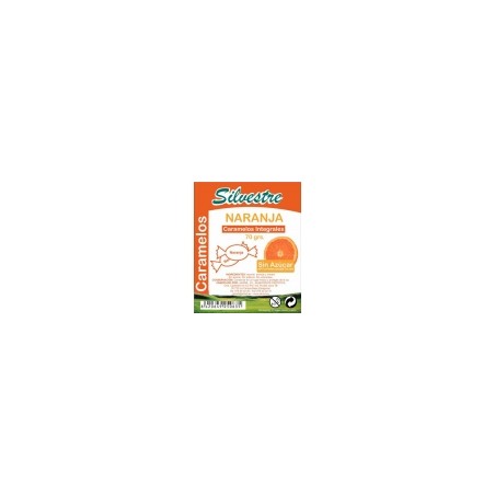 CARAMELOS NARANJA S/A 70GR SIL