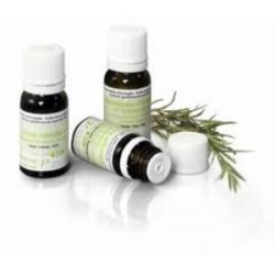 CITRONELA DE JAVA PARTES AEREAS 10 ml BIO