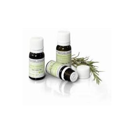 CITRONELA DE JAVA PARTES AEREAS 10 ml BIO