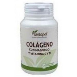 COLAGENO MAGNESIO VITA C 120 COMP