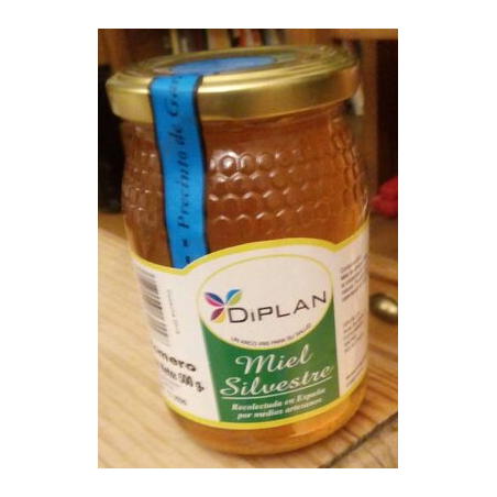 MIEL  ROMERO 500GR DIPLAN