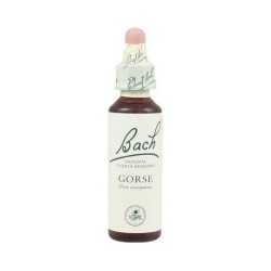 BACH N 13 GORSE 20ML AULAGA