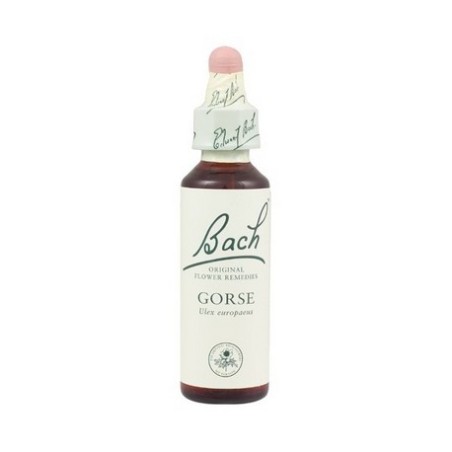 BACH N 13 GORSE 20ML AULAGA