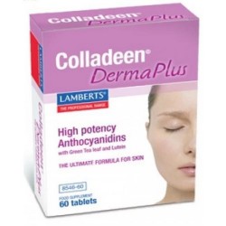 COLLADEEN DERMA PLUS 60T LAMBE