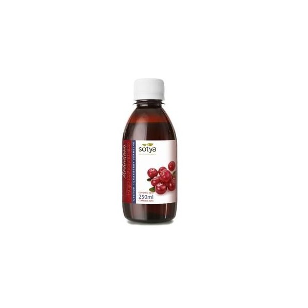 ARANDANO ROJO  CONCENTRADO  250ML SOTYA