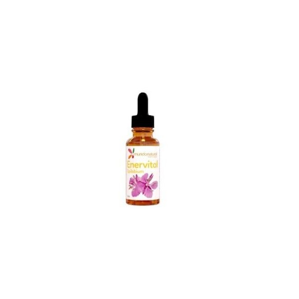 ENERVITAL EPILOBIUM 50ML - MUNDO NATURAL