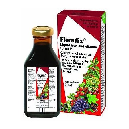 FLORADIX 250 ML SALUS