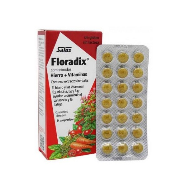 FLORADIX 84 COMPRIMIDOS  SALUS