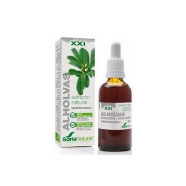 ALHOLVAS XXI EXTRACTO