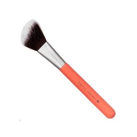 BENECOS BROCHA COLORETE naranja