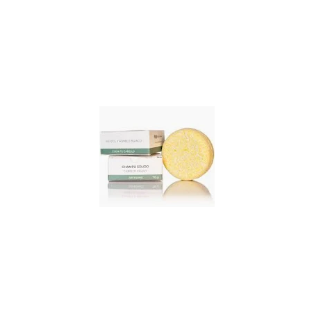  CHAMPU SOLIDO CABELLO GRASO 70 GBrushboo