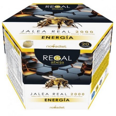 REGAL ABEJA ENERGIA