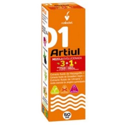 ARTIUL+ACEITE ES. JENGIBRE