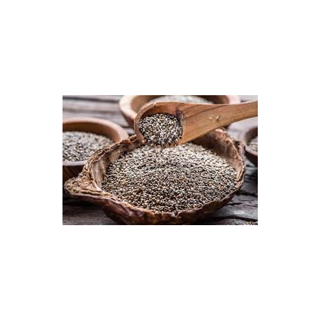 SEMILLAS DE CHIAS BIOLABRADOR 500G