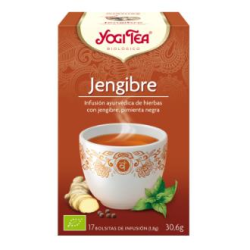 YOGI JENGIBRE 17 F BIO