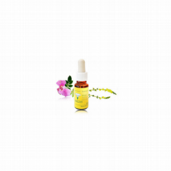 ESENCIA FLORAL BORRAJA 20ML F. MEDITERRANEO