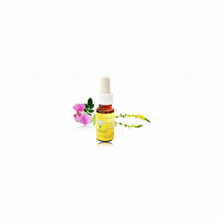 ESENCIA FLORAL BORRAJA 20ML F. MEDITERRANEO