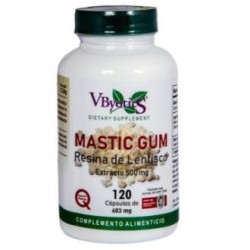 MASTIC GUM RESINA LENTISCO 120cap VBYOTICS