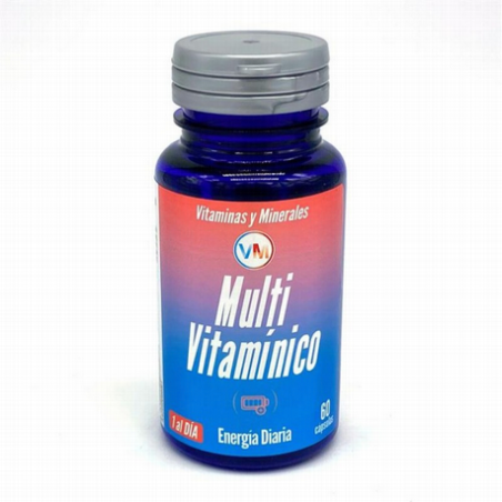 MULTIVITAMINICO 60CAPS YNSADIET
