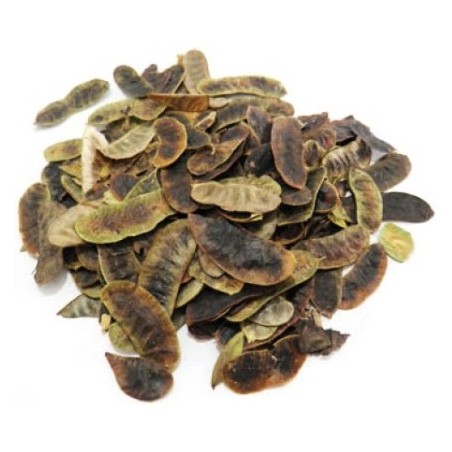 SEN FOLICULOS 100g - PREMIUM NATURA
