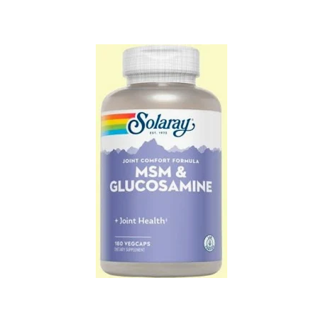 MSM & GLUCOSAMINE