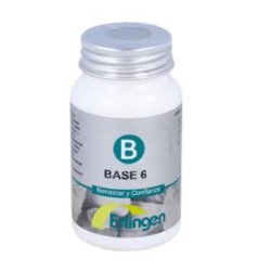 Base 6 de Erlingen | Energía y equilibrio interior