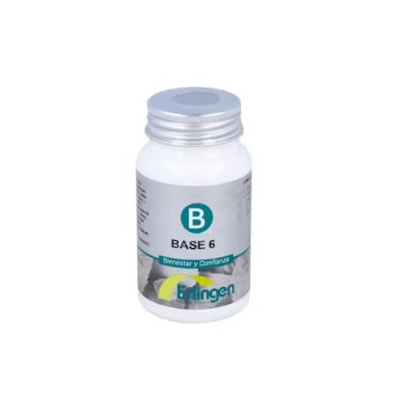 BASE 6 DE ERLINGEN