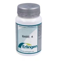 BASE 4 ERLINGEN