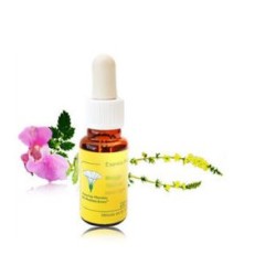 FLORES MEDITERRANEO LIMON