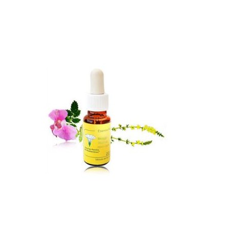 FLORES MEDITERRANEO LIMON