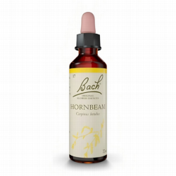 BACH N 17 HORNBEAM 20ML HOJARA