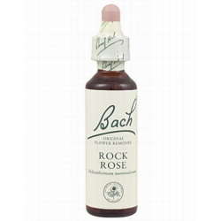 BACH N 26 ROCK ROSE 20 HELIANT