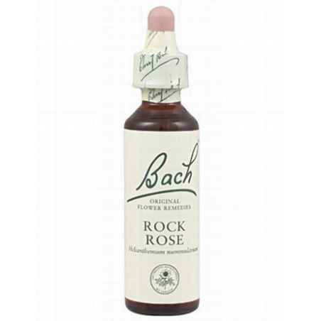 BACH N 26 ROCK ROSE 20 HELIANT
