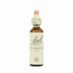 BACH N 25 RED CHESTNUT 20ML