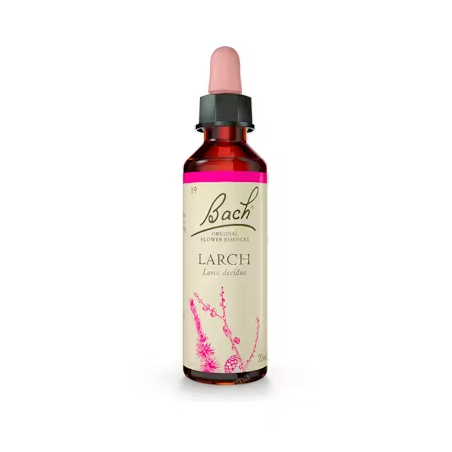 BACH N 19 LARCH 20ML ALERCE