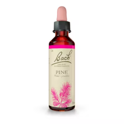 BACH N 24 PINE 20ML PINO
