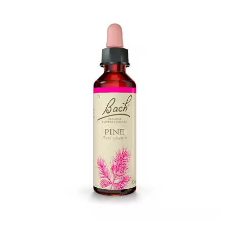 BACH N 24 PINE 20ML PINO