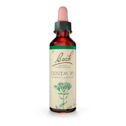 FLOR DE BACH 04 CENTAURY