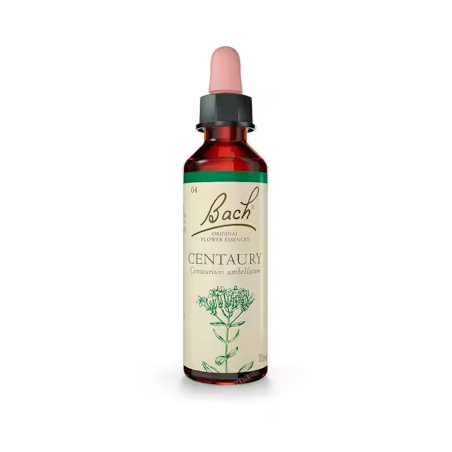 FLOR DE BACH 04 CENTAURY