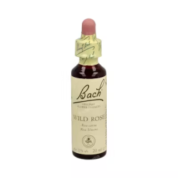 BACH N 37 WILD ROSE 20ML ROSA