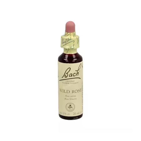 BACH N 37 WILD ROSE 20ML ROSA