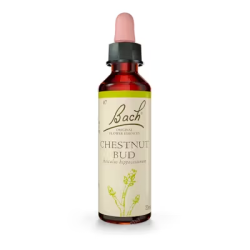 BACH N 7 CHESTNUT BUD 20 BROTE