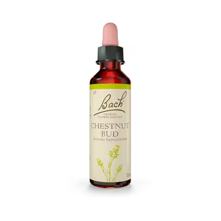 BACH N 7 CHESTNUT BUD 20 BROTE