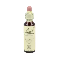 BACH N 33 WALNUT 20ML NOGAL