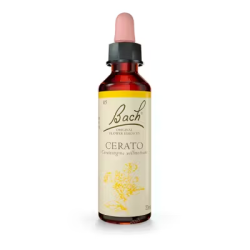 BACH N 5 CERATO 20ML CERATOSTI