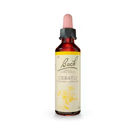 BACH N 5 CERATO 20ML CERATOSTI