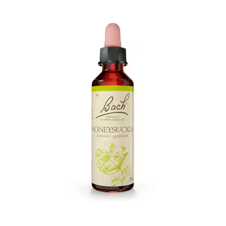 BACH N 16 HONEYSUCKLE 20 MADRE